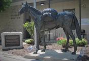 Bronze Pack Horse Statue